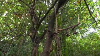 Исследуем пределы: сможет ли она принять его полностью?