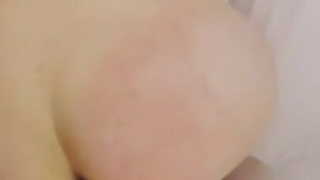 Модель Rexy Werb